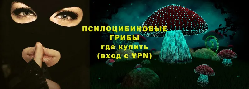 Галлюциногенные грибы Psilocybe  Кизел 